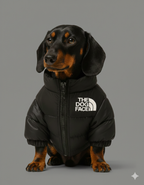 Chaqueta TheDogFace™