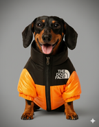 Chaqueta TheDogFace™